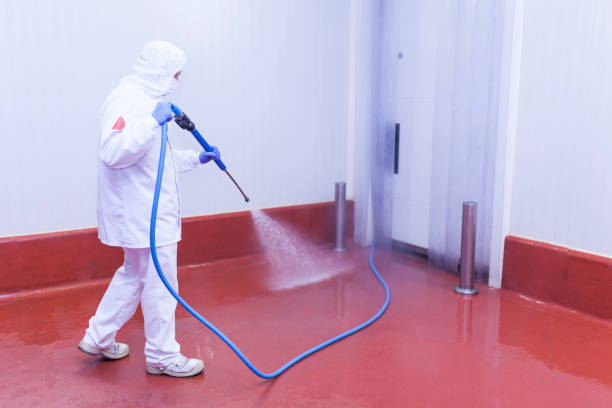 Best Building Exterior Washing  in Franklin, MI