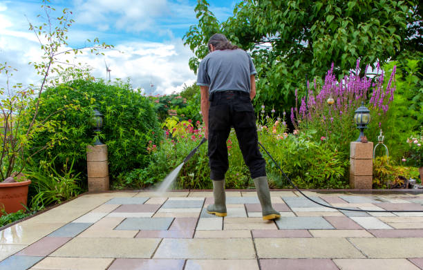 Best Driveway Pressure Washing  in Franklin, MI