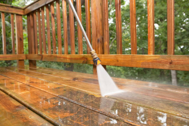 Animal Enclosure Cleaning in Franklin, MI